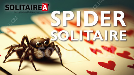 Speel Spider Solitaire en daag je geest uit terwijl je ontspant